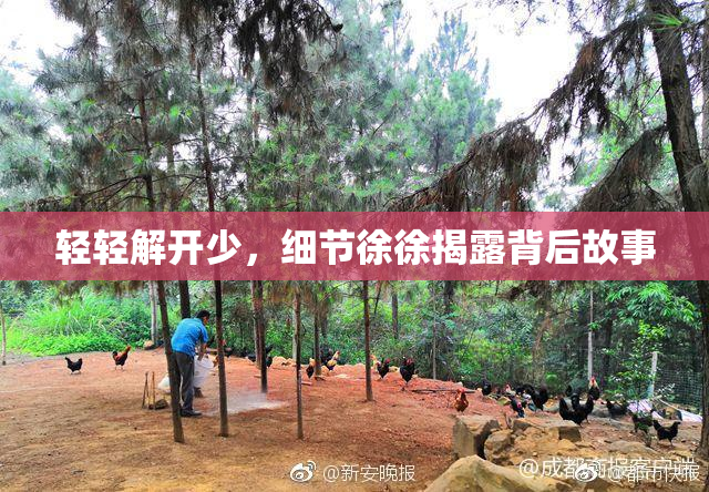 轻轻解开少，细节徐徐揭露背后故事