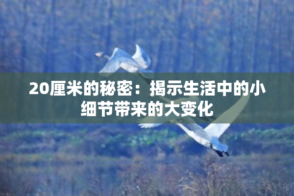 20厘米的秘密：揭示生活中的小细节带来的大变化