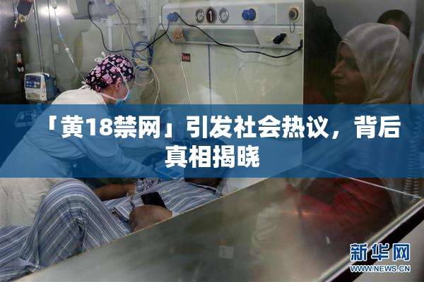 「黄18禁网」引发社会热议，背后真相揭晓