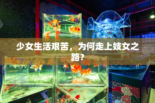 少女生活艰苦，为何走上妓女之路？