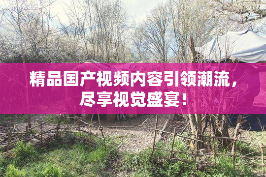 精品国产视频内容引领潮流，尽享视觉盛宴！