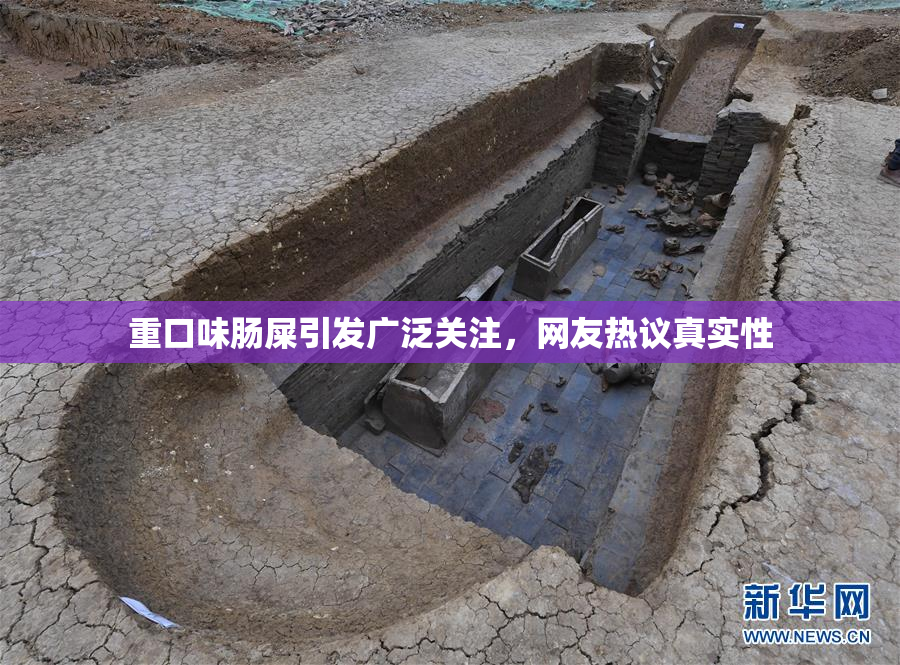 重口味肠屎引发广泛关注，网友热议真实性
