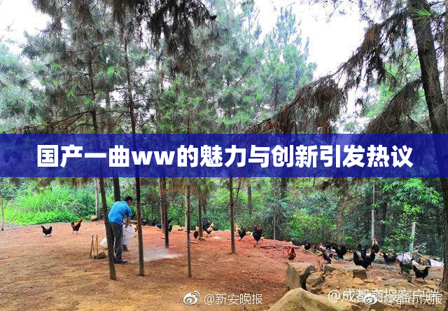 国产一曲ww的魅力与创新引发热议
