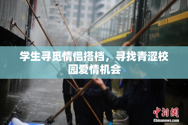 学生寻觅情侣搭档，寻找青涩校园爱情机会