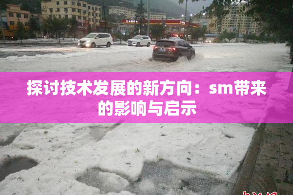 探讨技术发展的新方向：sm带来的影响与启示