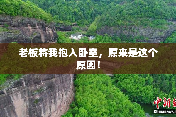 老板将我抱入卧室，原来是这个原因！