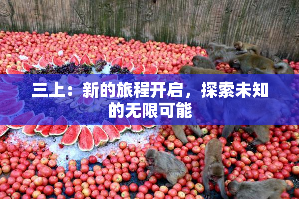 三上：新的旅程开启，探索未知的无限可能