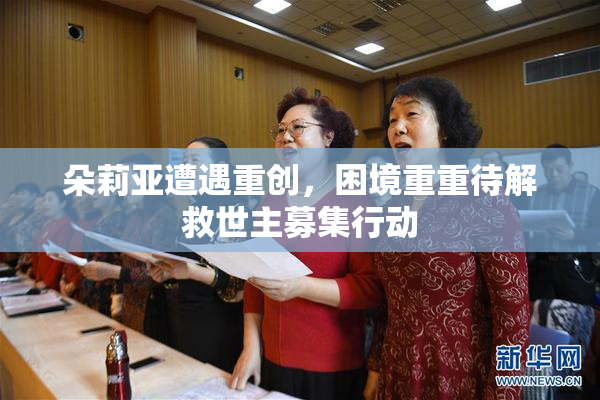 朵莉亚遭遇重创，困境重重待解救世主募集行动