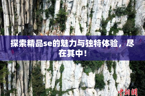 探索精品se的魅力与独特体验，尽在其中！