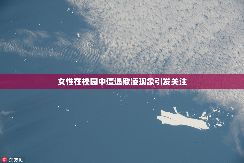 女性在校园中遭遇欺凌现象引发关注
