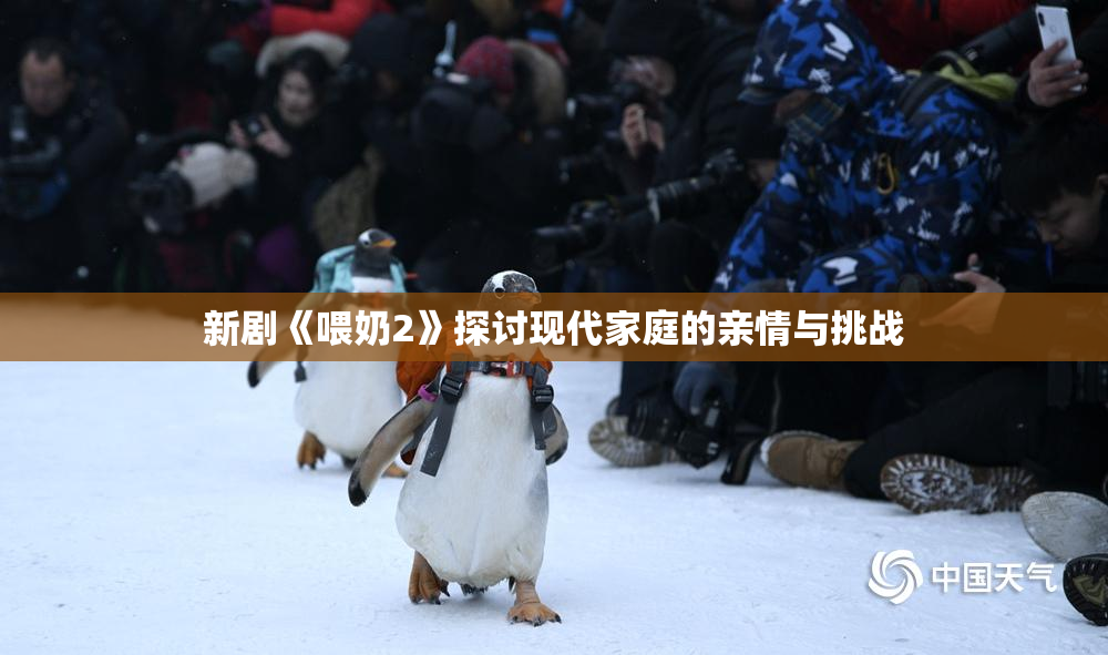 新剧《喂奶2》探讨现代家庭的亲情与挑战
