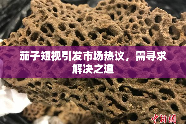 茄子短视引发市场热议，需寻求解决之道