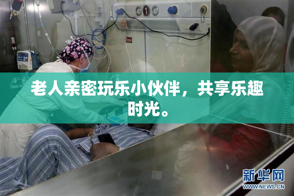 老人亲密玩乐小伙伴，共享乐趣时光。