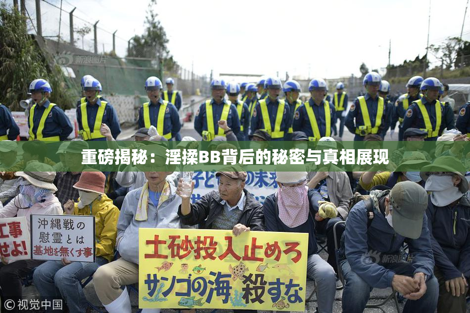 重磅揭秘：淫揉BB背后的秘密与真相展现