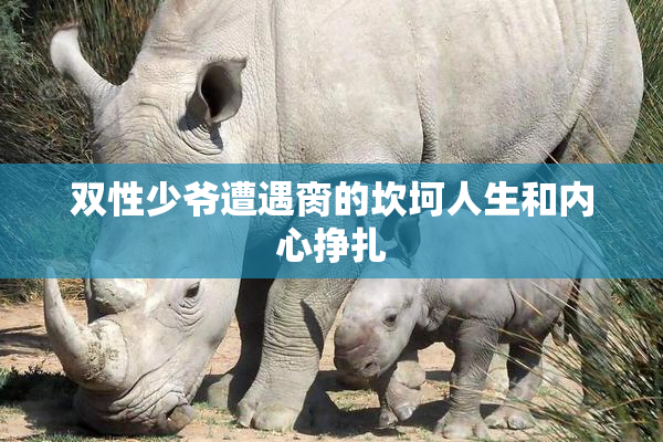 双性少爷遭遇脔的坎坷人生和内心挣扎