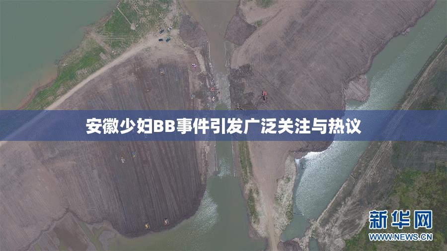 安徽少妇BB事件引发广泛关注与热议