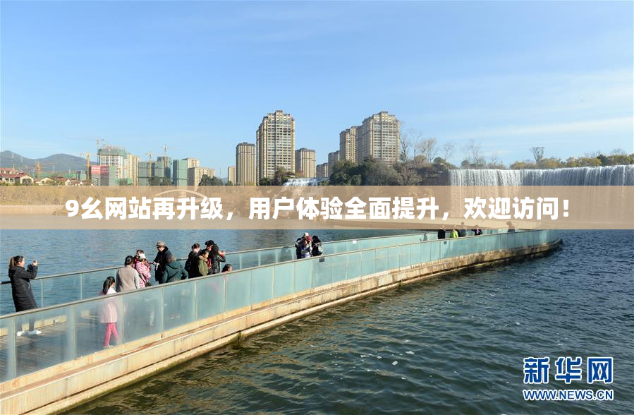9幺网站再升级，用户体验全面提升，欢迎访问！