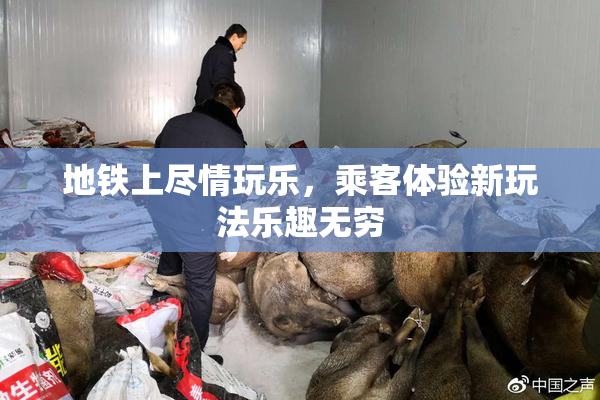 地铁上尽情玩乐，乘客体验新玩法乐趣无穷