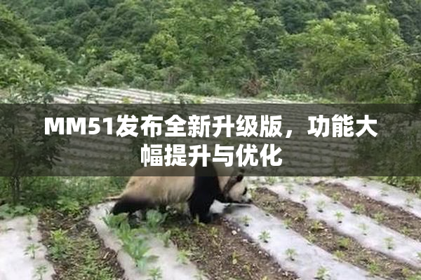 MM51发布全新升级版，功能大幅提升与优化