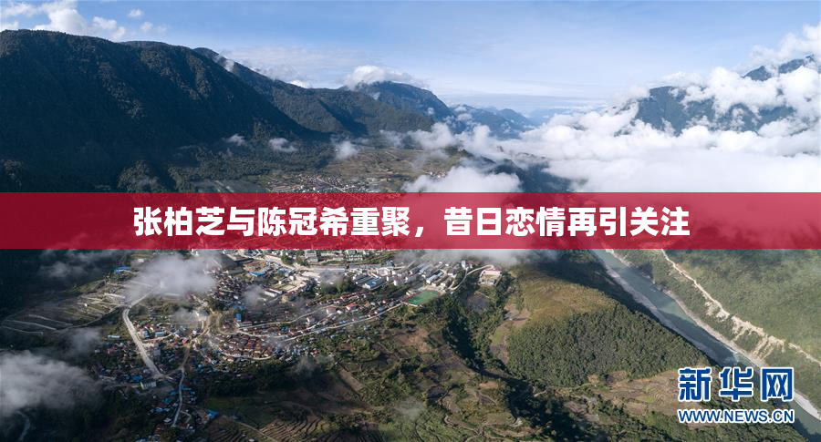 张柏芝与陈冠希重聚，昔日恋情再引关注