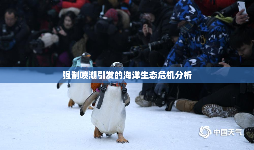 强制喷潮引发的海洋生态危机分析