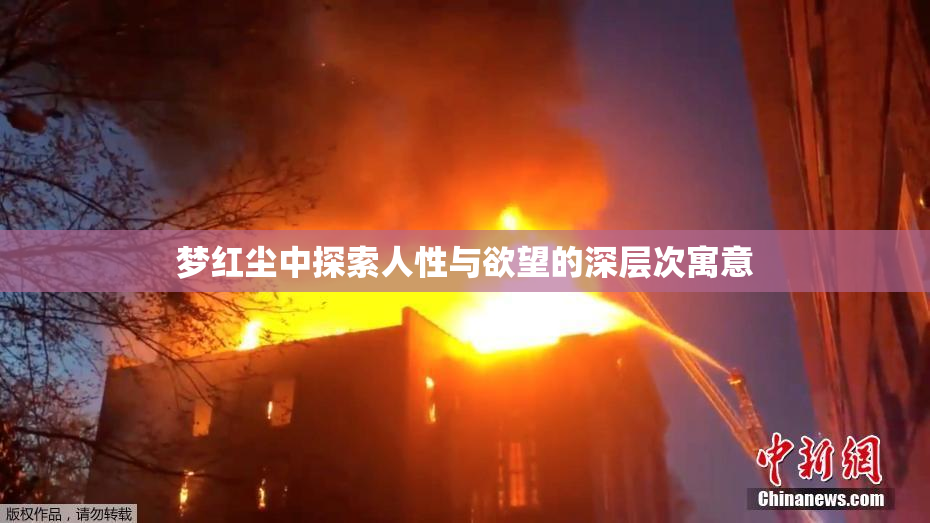 梦红尘中探索人性与欲望的深层次寓意