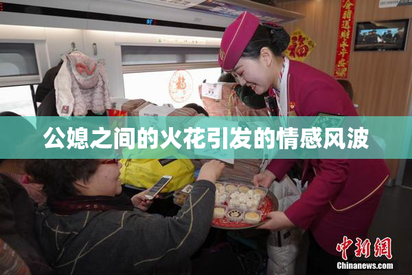 公媳之间的火花引发的情感风波