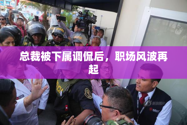 总裁被下属调侃后，职场风波再起
