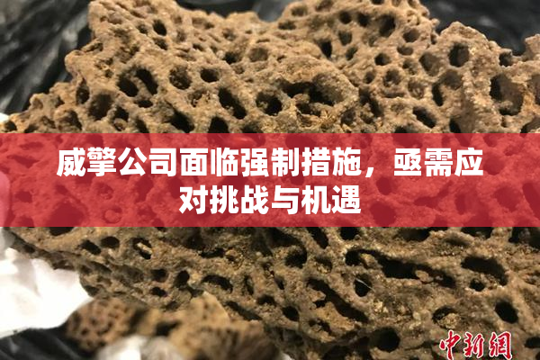 威擎公司面临强制措施，亟需应对挑战与机遇