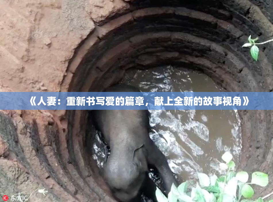 《人妻：重新书写爱的篇章，献上全新的故事视角》