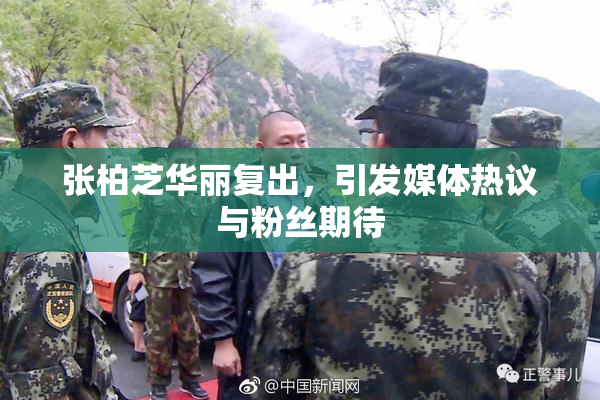 张柏芝华丽复出，引发媒体热议与粉丝期待