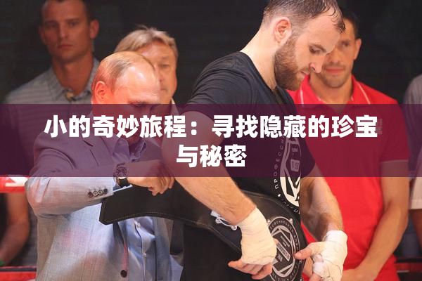 小的奇妙旅程：寻找隐藏的珍宝与秘密