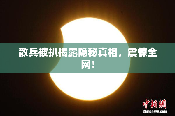 散兵被扒揭露隐秘真相，震惊全网！