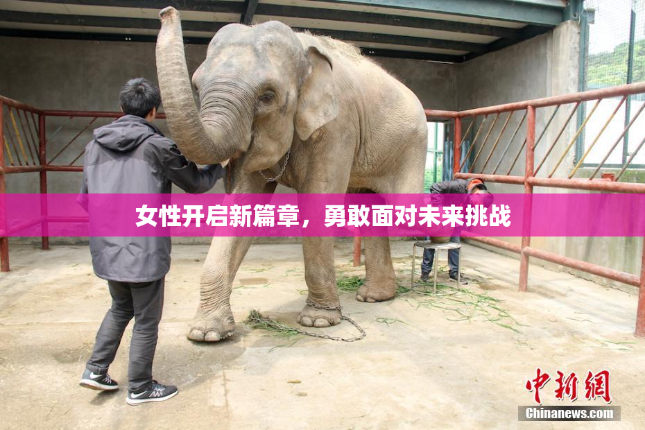 女性开启新篇章，勇敢面对未来挑战