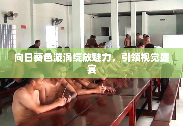 向日葵色漩涡绽放魅力，引领视觉盛宴