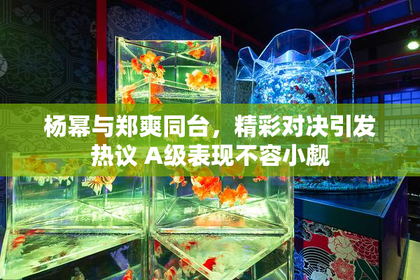 杨幂与郑爽同台，精彩对决引发热议 A级表现不容小觑