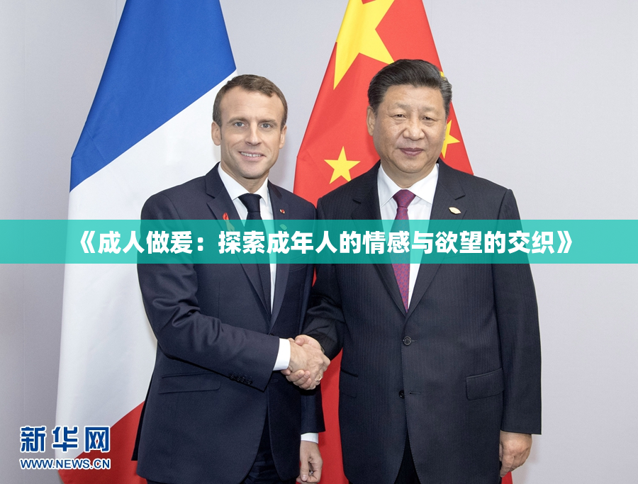 《成人做爰：探索成年人的情感与欲望的交织》