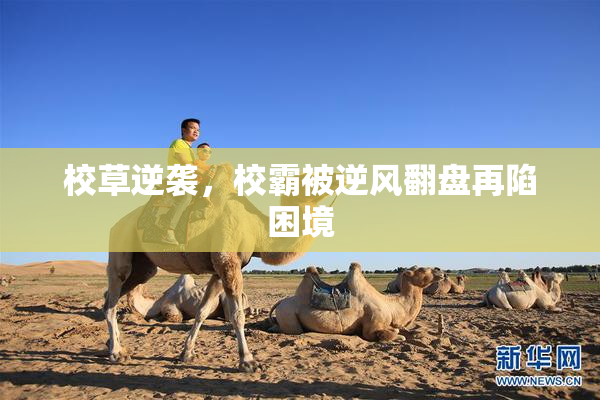 校草逆袭，校霸被逆风翻盘再陷困境