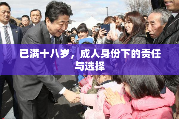 已满十八岁，成人身份下的责任与选择