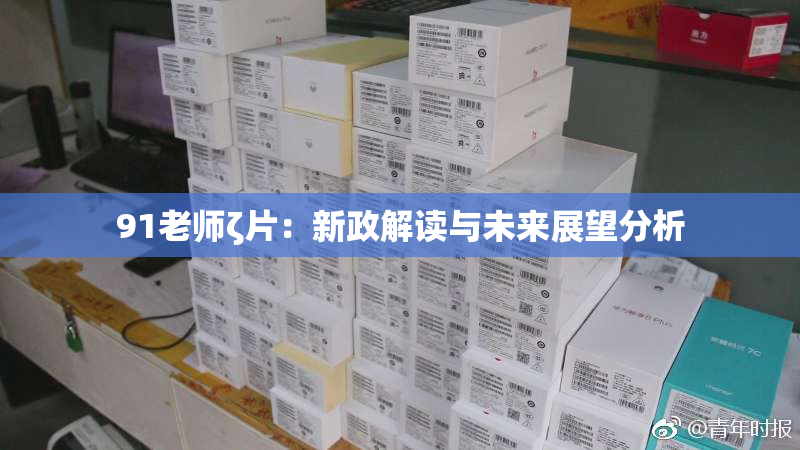 91老师ζ片：新政解读与未来展望分析