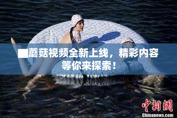 ▇蘑菇视频全新上线，精彩内容等你来探索！