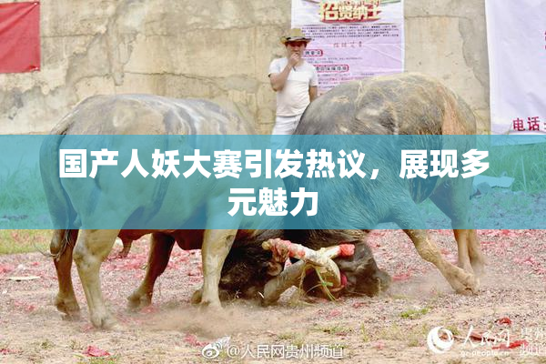 国产人妖大赛引发热议，展现多元魅力