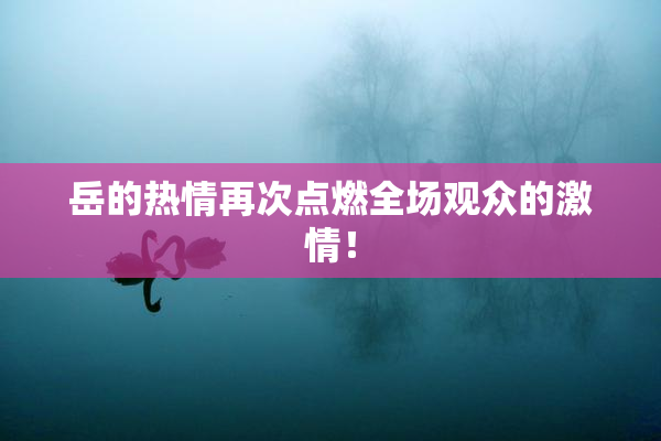 岳的热情再次点燃全场观众的激情！
