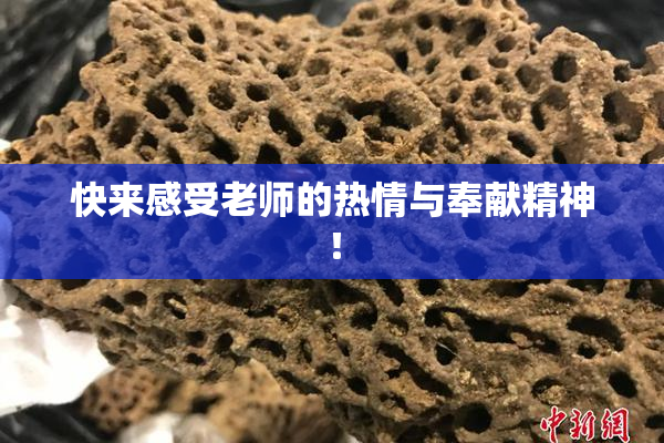 快来感受老师的热情与奉献精神！
