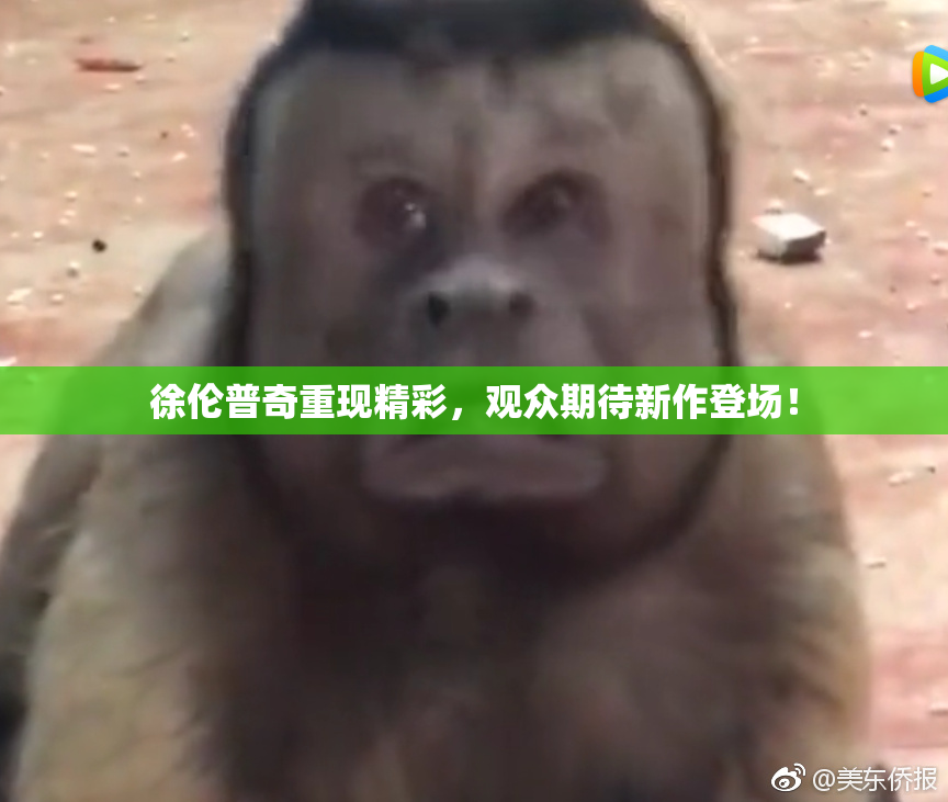 徐伦普奇重现精彩，观众期待新作登场！