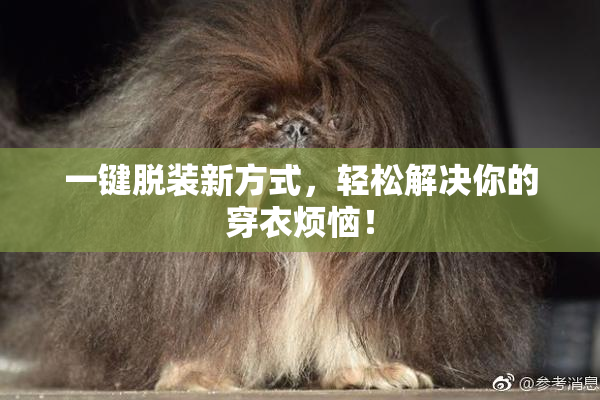 一键脱装新方式，轻松解决你的穿衣烦恼！