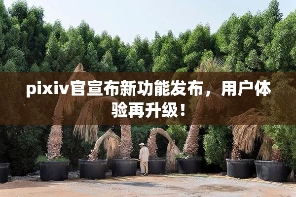 pixiv官宣布新功能发布，用户体验再升级！