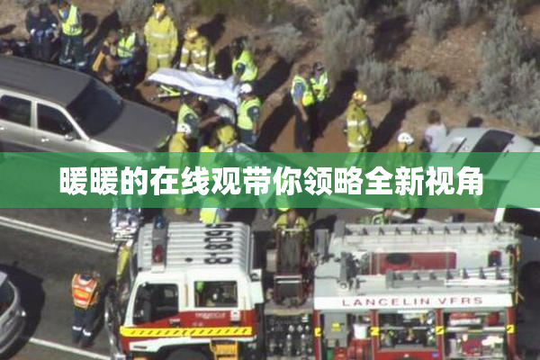 暖暖的在线观带你领略全新视角