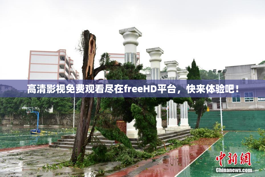 高清影视免费观看尽在freeHD平台，快来体验吧！