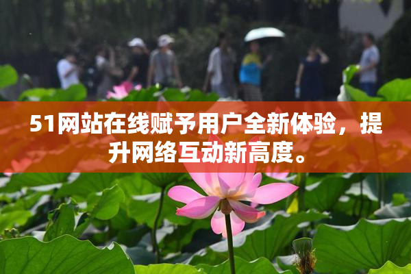 51网站在线赋予用户全新体验，提升网络互动新高度。